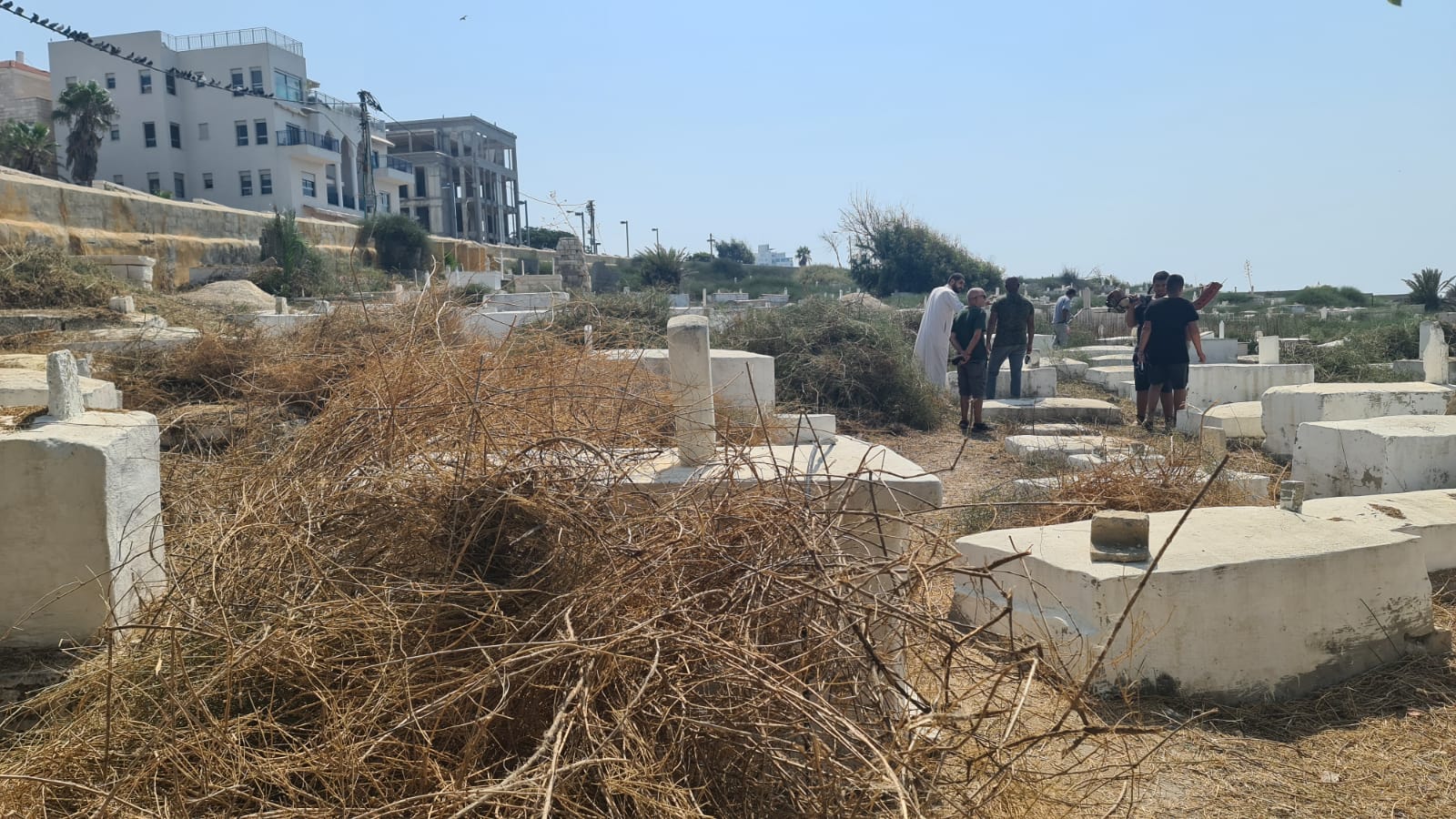 WhatsApp Image 2020-09-19 at 1.45.38 PM (2).jpeg.jpeg